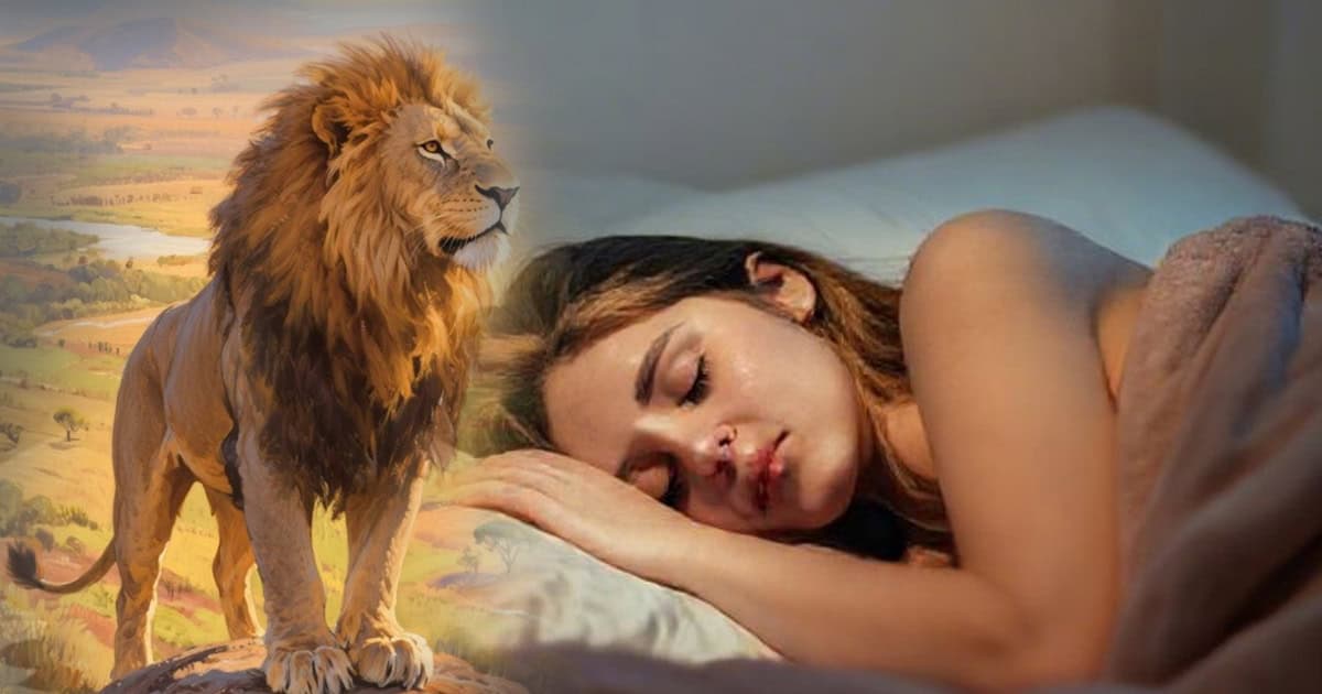 ทำนายฝัน สิงโต